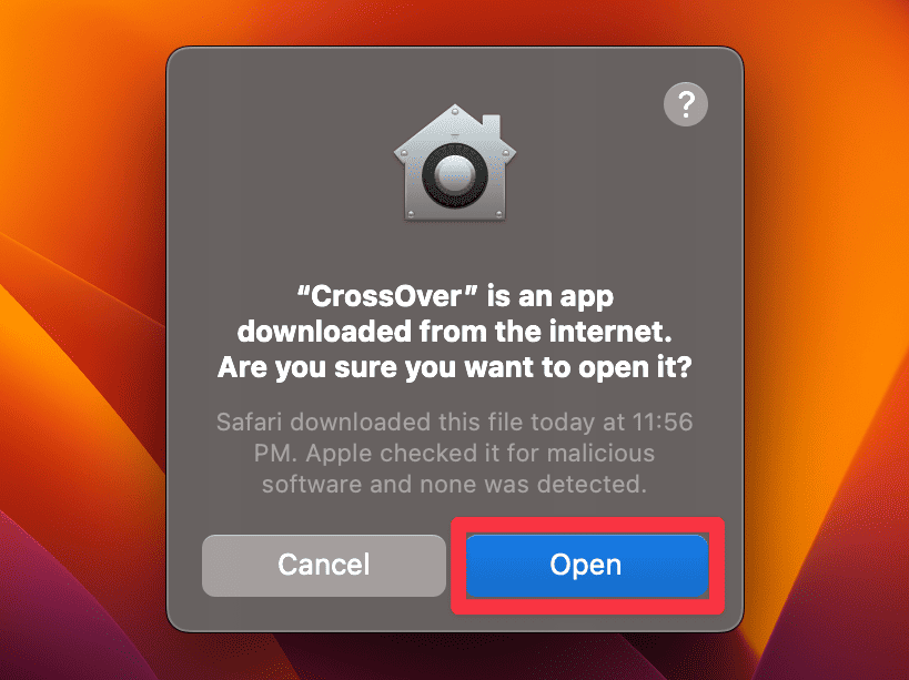 Allow The App to Open