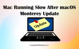 Mac Running Slow After macOS Monterey Update