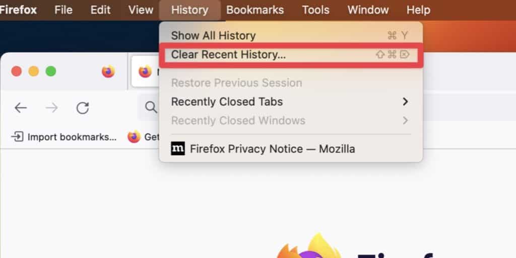 Navigate to the History tab in the menu bar and click the Clear Recent History option to delete your recent download history.