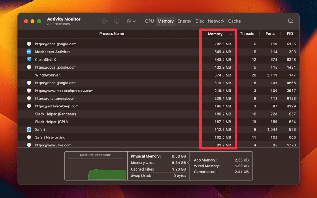  RAM usage of each process