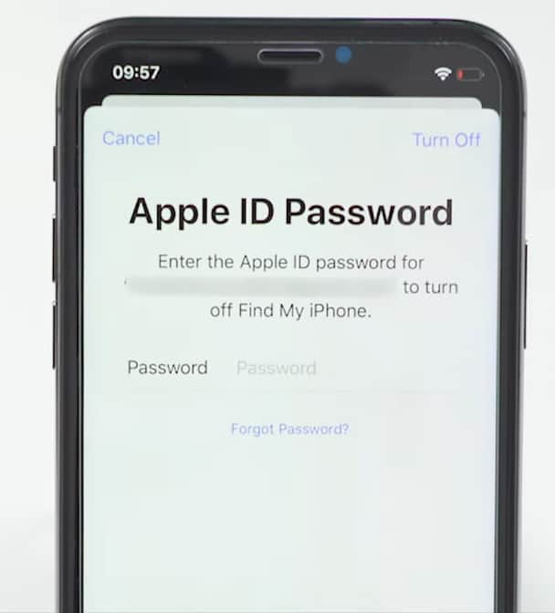 Reset It Using Your Apple ID