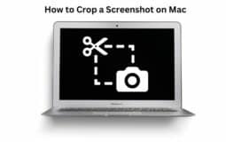 How to Crop a Screenshot on Mac