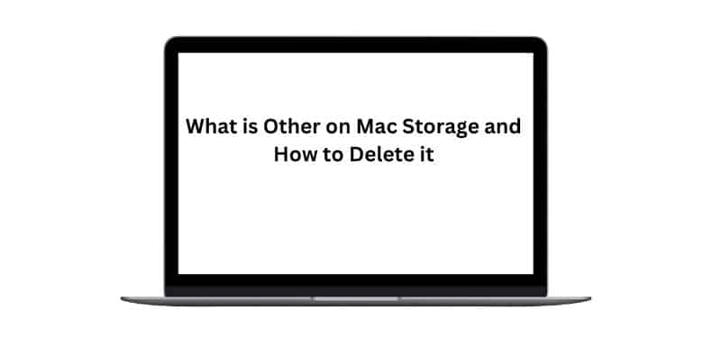 What is Other on Mac Storage and How to Delete it