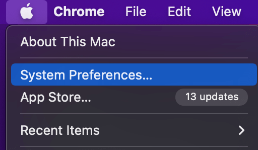 Click on System Preferences 