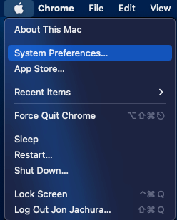 Select System Preferences