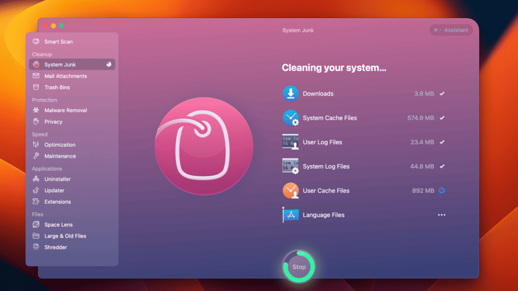Cleaning your system