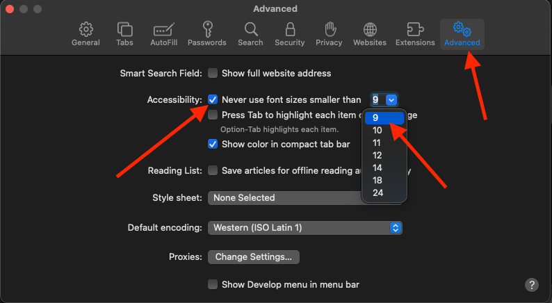 increase font size safari macbook pro