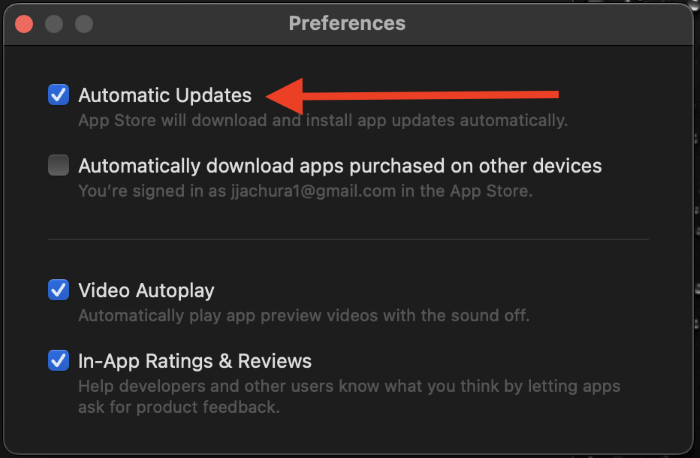 Click on  Automatic Updates