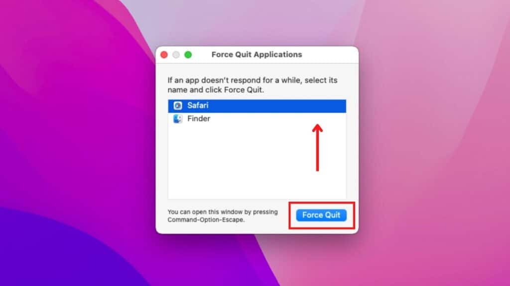 Force Quit the Program Using Force Quit Window