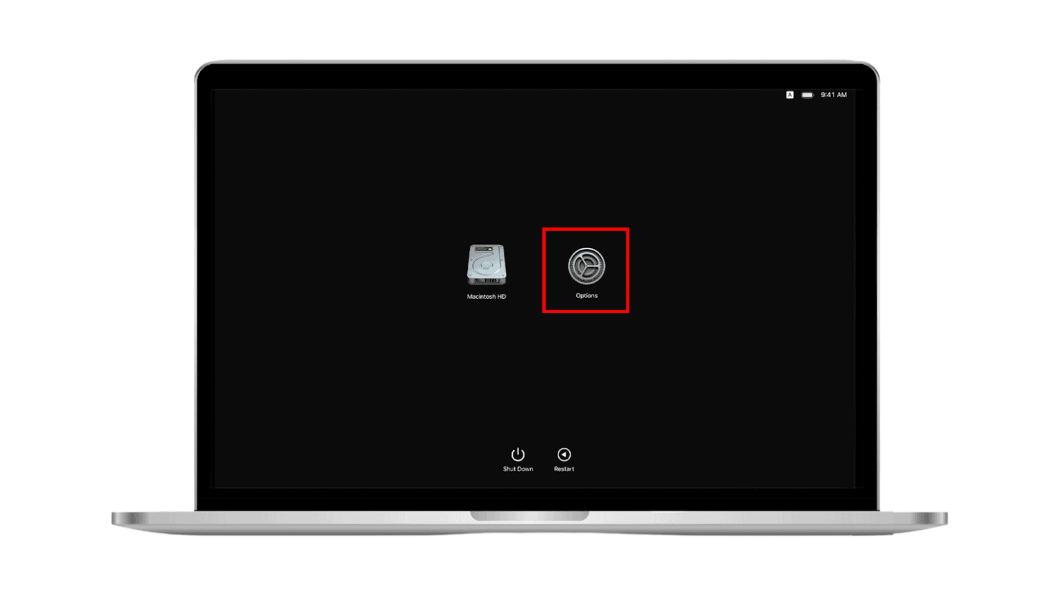 how to check the performance of my macbook pro