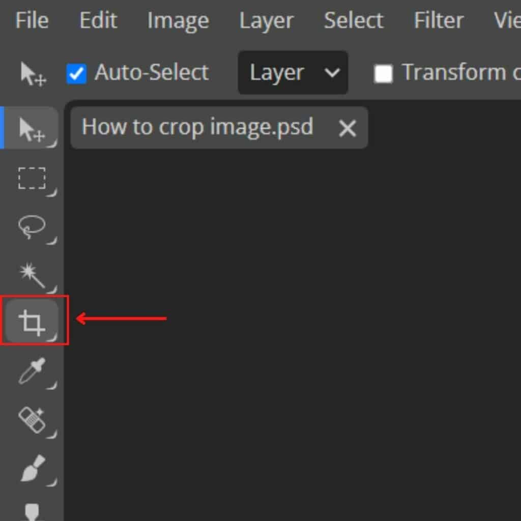 Photopea - select the crop tool