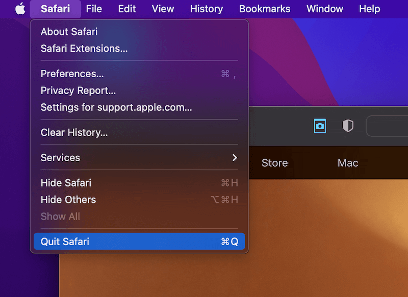 Quit Safari 