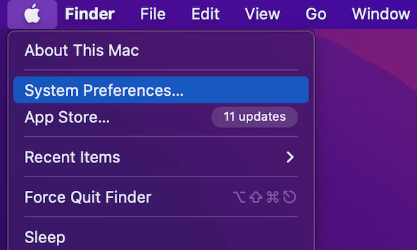  Click on System Preferences 