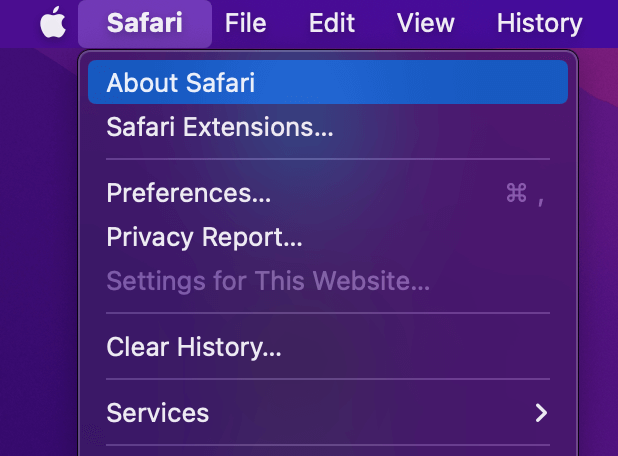Check if your Safari is up to date 